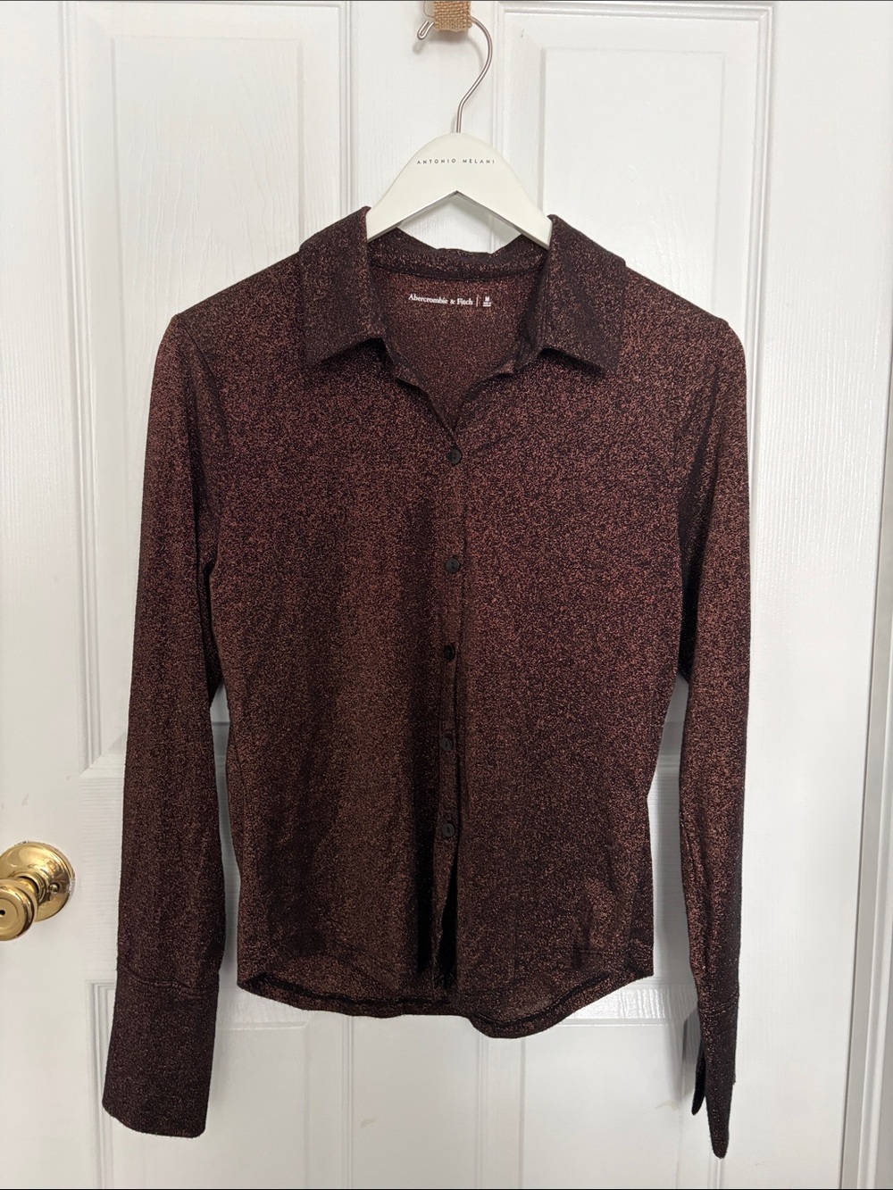 Abercrombie & Fitch Metallic Copper Brown Button-Up Shirt